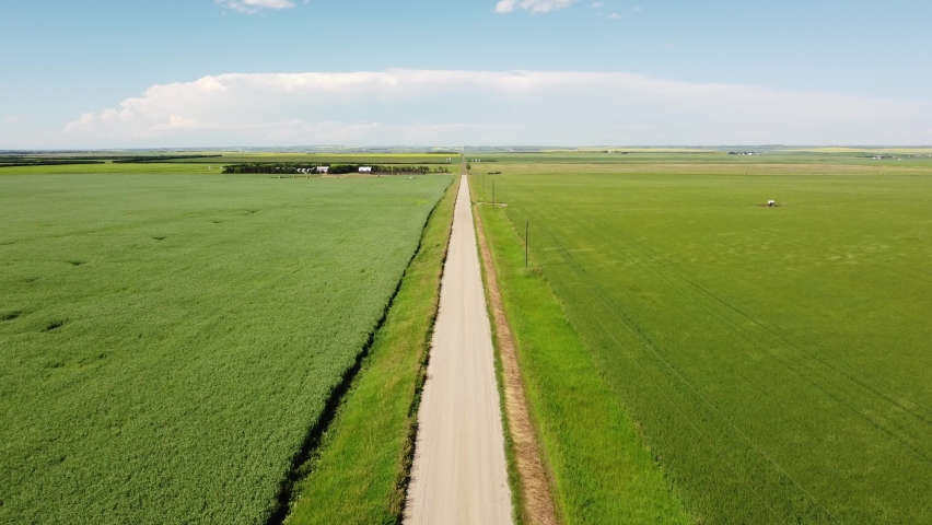 Aerial flight above a gravel rural road along growing wheat fields on the Canadian prairies.