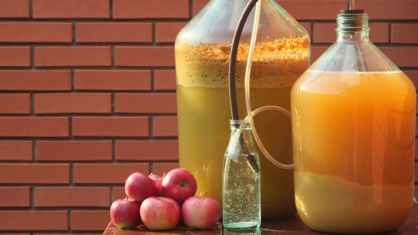 Making homemade apple cider. Foam of cider in the bottle,  Fermentation. Apple wort in a fermentation jar, with an original air lock. Farmer produces cider at home, outdoors Royalty-Free Stock Footage #1093830197