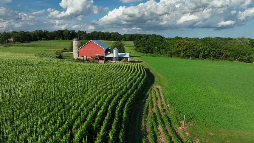 American farm scene in rural USA. Corn field and red barn. Agriculture theme on summer sunny day. Aerial. Royalty-Free Stock Footage #1093836539