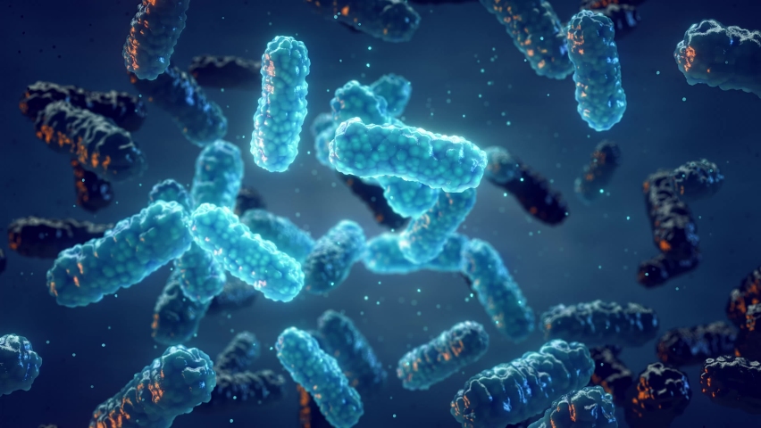 Antimicrobial Resistance (AMR) occurs when bacteria change over time and no longer respond to medicines. Genetic mutation in bacteria can lead to antibiotic resistance | Shutterstock HD Video #1093838353