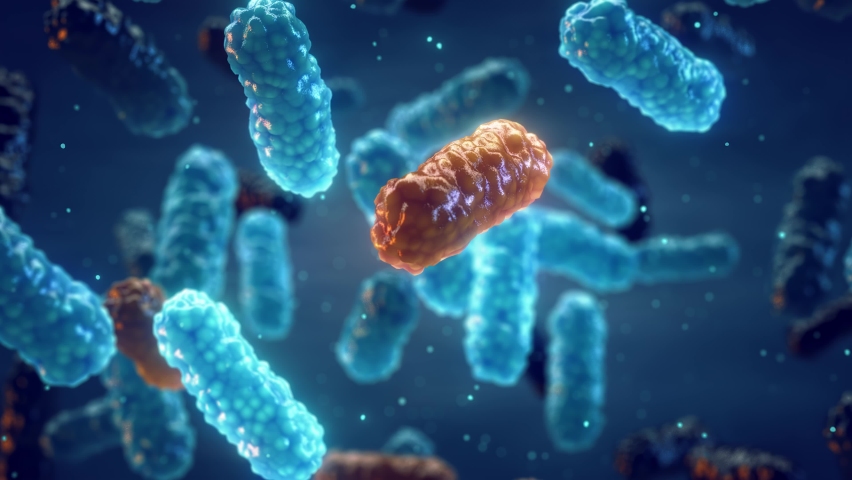 Antimicrobial Resistance (AMR) occurs when bacteria change over time and no longer respond to medicines. Genetic mutation in bacteria can lead to antibiotic resistance Royalty-Free Stock Footage #1093838353