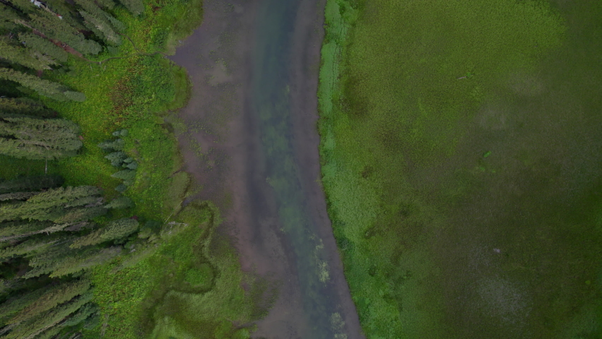 Aerial video footage over a small river flowing through a shallow lake in a meadow surrounded by mountains and forests of pine trees in Okanogan-Wenatchee National Forest.