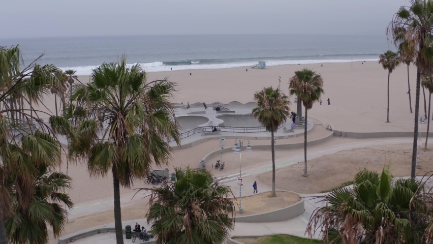 Aerial view behind palm trees looking at people skating at the Venice beach skate park, in Los Angeles, USA - low, tracking, drone shot