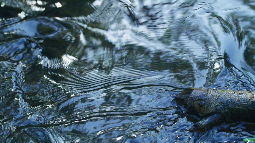 creek water flowing close up