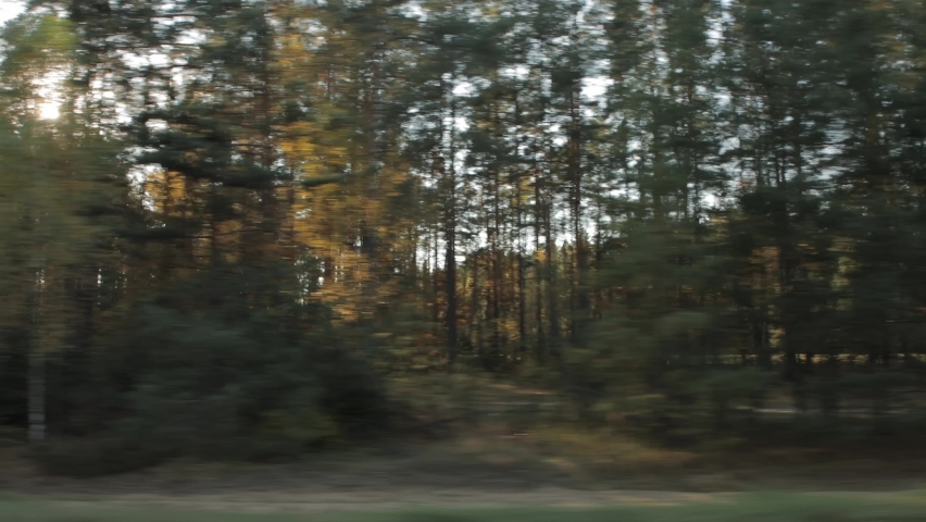 Sunlight shines through trees. View through side car auto window in motion on road along autumn forest in fall. Trees background. Tourism and travel, journey trip concept. Beautiful nature