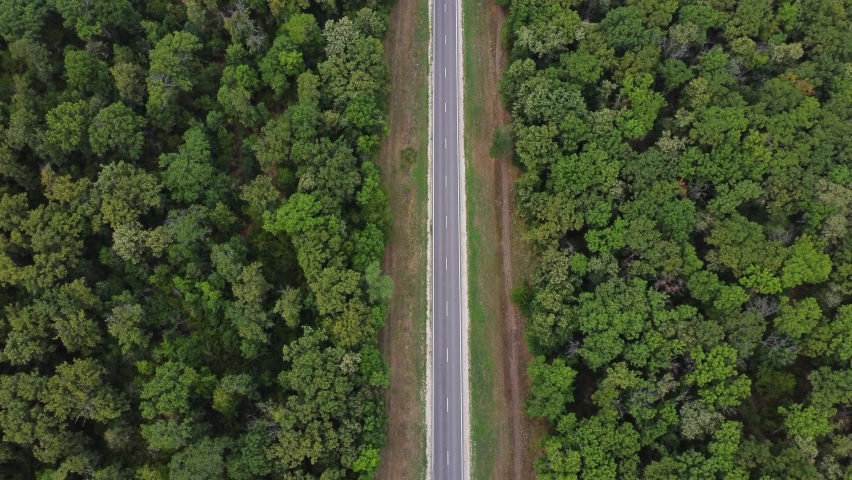 Aerial top down view of gravel road in forest, misty morning. Drone shot flying over tree tops, Nature background in 4K resolution