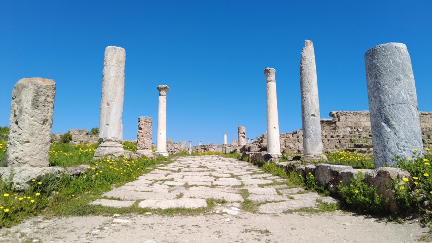 Salamis is an ancient Greek city-state on the east coast of Cyprus, at the mouth of the river Pedieos, 6 km north of modern Famagusta.	