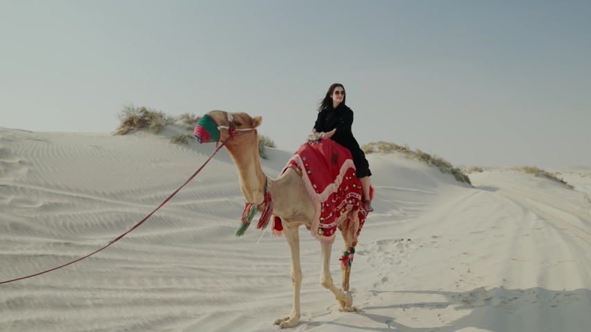 Tourist woman riding camel at the desert in Qatar
 Royalty-Free Stock Footage #1093866277