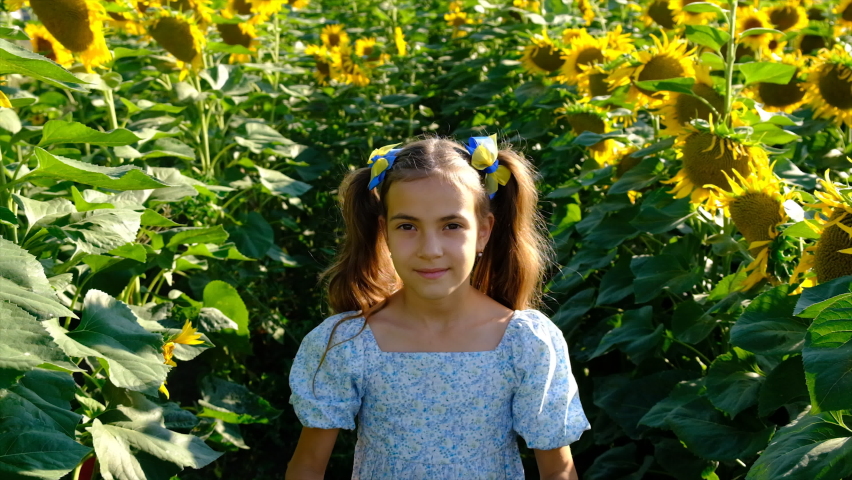 A child plays in a field of sunflowers. Ukraine. Selective focus.