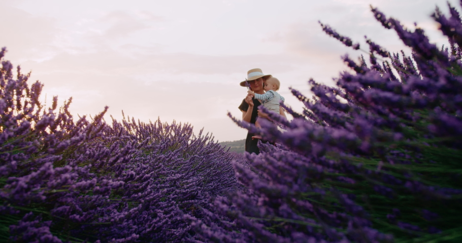 Happy Young Mom hugs her Beautiful little baby boy and walking through lavender field in French Provence during sunset. Royalty-Free Stock Footage #1093884421