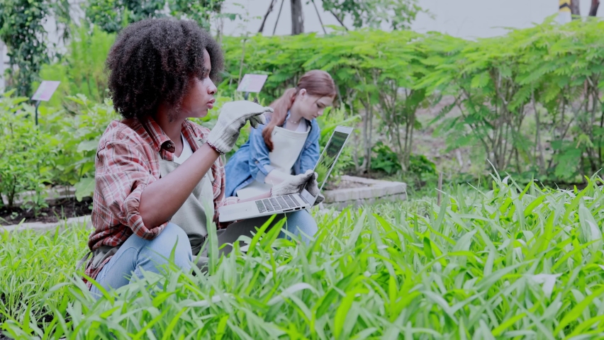 teenage girl used uses laptop computer to analyze the growth of plants in the agricultural plot, agricultural technology concept Royalty-Free Stock Footage #1093886549