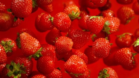 Super Slow Motion Shot of Fresh Strawberries on Red Background Flying Towards Camera at 1000fps.: film stockowy