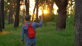 Back view of tourist with backpack while traveling takes pictures with phone summer landscape in forest at sunset. Shoot video, make photos nature