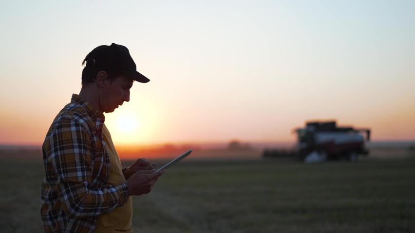 Agriculture. male farmer stands with tablet in wheat field, harvests in background. combine harvests wheat on farmer's field. Farmer with tablet. man in agriculture Royalty-Free Stock Footage #1093911857