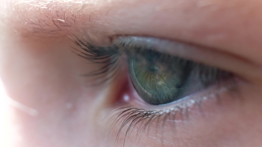 A close-up of a child's eye. A child looking into the far distance. Macro shot | Shutterstock HD Video #1093912045
