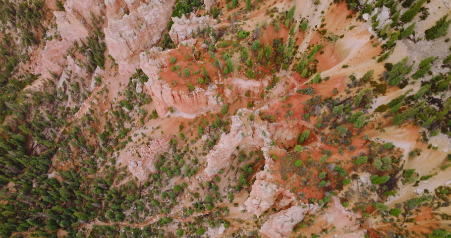 Pine trees growing on the cliffs of sharp-topped rocks of Bryce Canyon. Beautiful coral rocks from bird’s eye view.