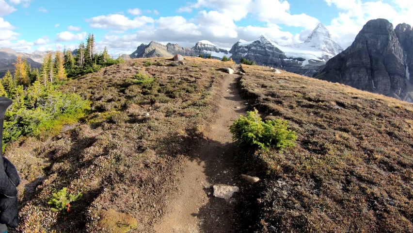 View of hiker is hiking on niblet mountain with mount Assiniboine in autumn forest at provincial park, Canada