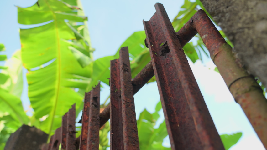 A beautiful old rusty iron fence against a beautiful palm tree on a blue background with white clouds. A rusty fence on a sunny day shot in motion at a wide angle. Slow motion. Royalty-Free Stock Footage #1093939761