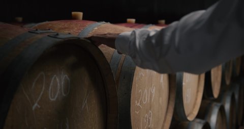Male owners hand on Wooden oak whiskey, wine, cognac, brandy or beer barrels.
A Wine Cellar. Storage Room for Wine in Bottles and Barrels. วิดีโอสต็อก