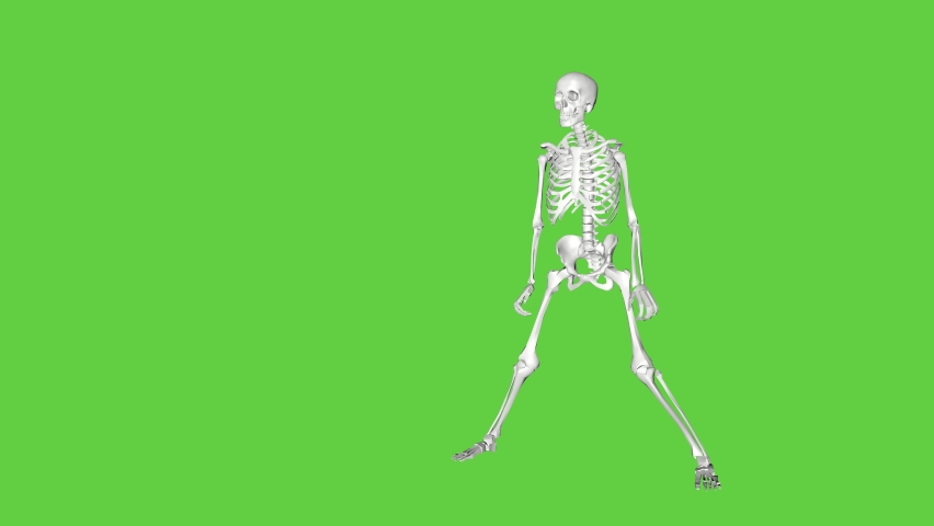 Skeleton is dancing, isolated on a green screen. 3D animation for Halloween. All Saints Day Royalty-Free Stock Footage #1093956239