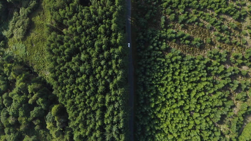 Top-view of a white car riding along a curvy road in a green forest along the Wicklow mountains. Concept of holiday travel. Aerial shot Royalty-Free Stock Footage #1093965187