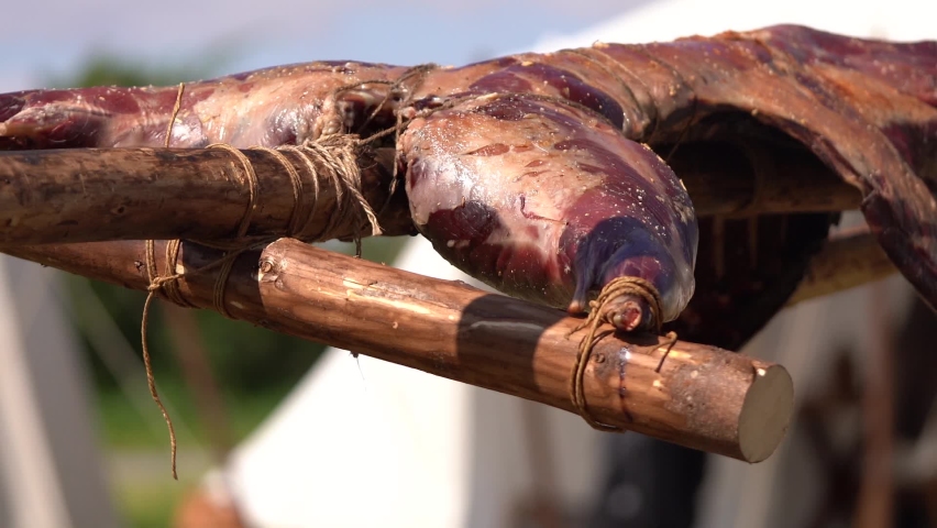 Meat Skewered In A Wooden Stick And Cooked Over High Heat- Primitive Method Of Cooking. Close-up