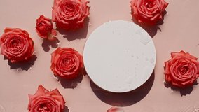 Empty white circle podium on transparent water texture and flowers of roses. Slow motion of waves water on pink background. Sun and shadows. Video for design, advertising, products