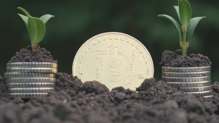 The concept of extraction and mining of cryptocurrency. Bitcoin dug up in the ground | Shutterstock HD Video #1093971921