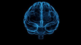 3D rotating Transparent Blue Wireframe Rotating Brain, Hologram Futuristic technology concept, neural connections and Synapse activity, Deep learning, Artificial Intelligence. 4k loop animation. - Powered by Shutterstock - Get 15% off with code: PIKWIZARD15