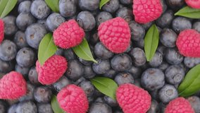 Blueberry and Raspberry with green leaf on rotating backdrop.