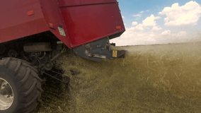 Harvester machine to harvest wheat field working. Combine harvester agriculture machine harvesting golden ripe wheat field at 1000 fps slow motion video, filmed on slow motion camera