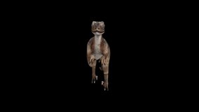 Deinonychus Walk Front View animation.Full HD 1920×1080.6 Second Long.  Transparent Alpha video.LOOP.