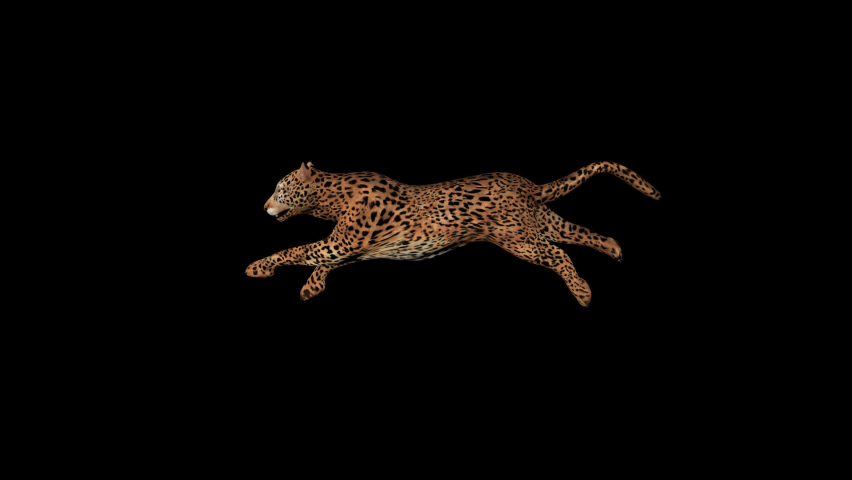 Cougar Run animation.Full HD 1920×1080.5 Second Long. Transparent Alpha video.LOOP. | Shutterstock HD Video #1093994809