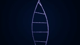 4k video of a light purple DNA chain on a black background with pink shining light. - Powered by Shutterstock - Get 15% off with code: PIKWIZARD15