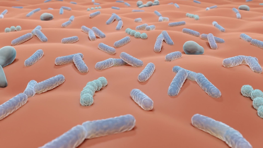 Skin microbiome, Microbes on skin surface | Shutterstock HD Video #1093996961