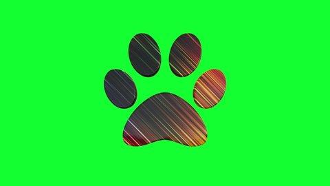58 Dog Paw Wallpaper Stock Video Footage - 4K and HD Video Clips | Shutterstock 58 Dog Paw Wallpaper Stock Video Footage - 4K and HD Video Clips | Shutterstock