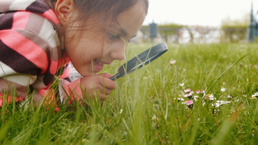 Close-up of a little girl playing with a magnifying glass in the park. Cute little girl looks at plants and flowers through a magnifying glass. child is a young naturalist exploring nature. 