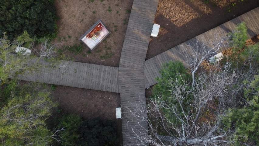 drone video advancing over wooden walkway and moving treetops