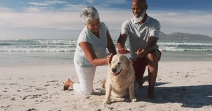 Animation of dogs paw over african american couple with dog. International day of older persons concept digitally generated video.
