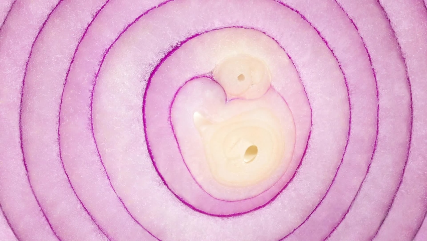 Red onion, cut, inner part with rings rotating, turning, close-up macro, top view.
