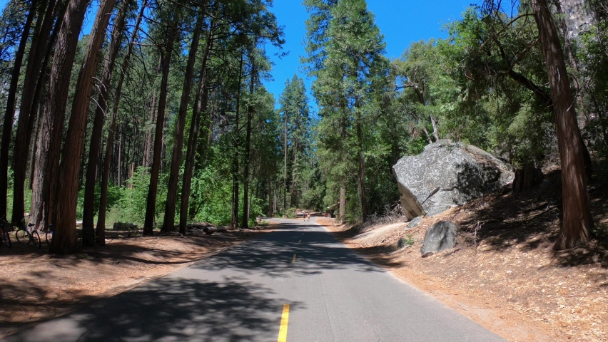 DOLLY SHOT - Mirror Lake Trail in Yosemite National Park, Yosemite Valley, California, USA.