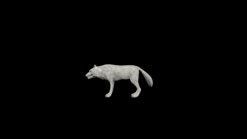 White Wolf animation.Full HD 1920×1080.11 Second Long.Transparent Alpha video. Royalty-Free Stock Footage #1094033923
