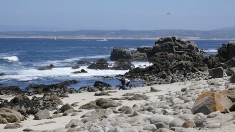 4K Footage of Point Pinos in Pacific Grove Monterey California
