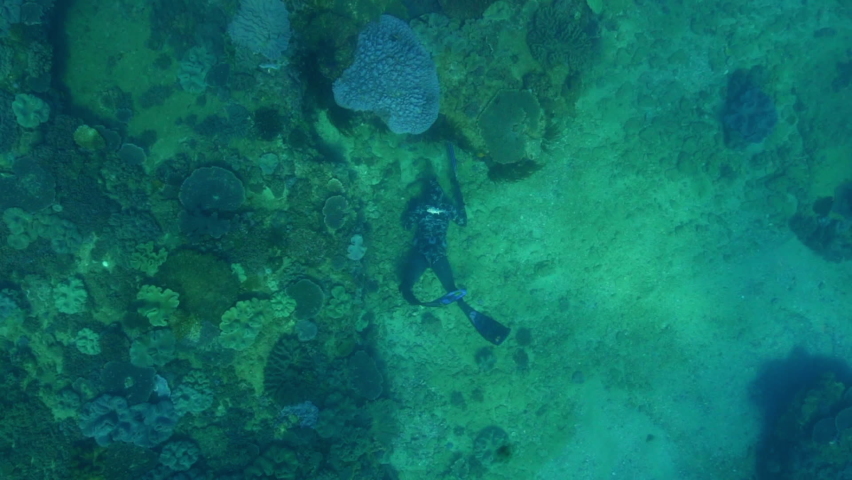 Scuba Divers Swimming Over Coral Reef In Ocean - Exmouth, Australia