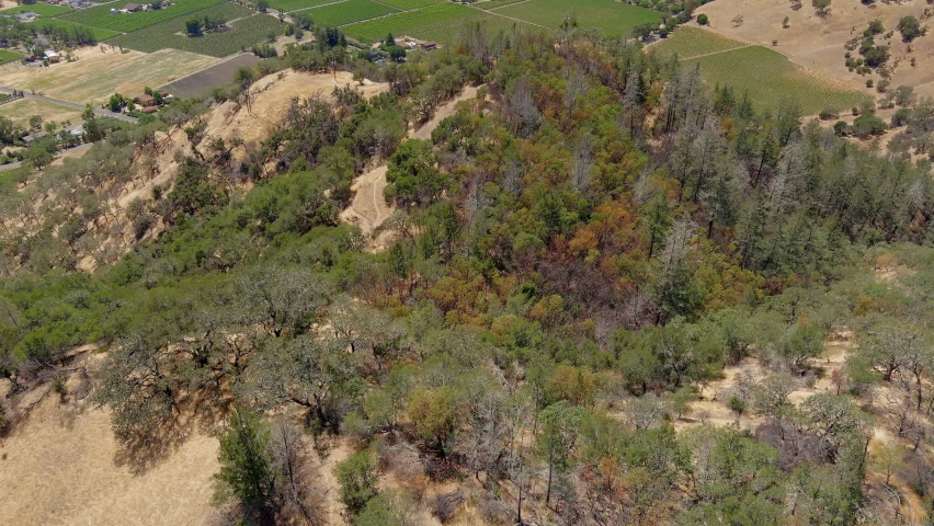 Aerial flyover of the Oat Hill Mine Trail and surrounding farmland countryside - burned trees after a seasonal wildfire