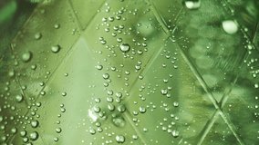 extreme close-up: bubbles of carbon dioxide rise up in a green bottle of mineral water macro. Carbonated water shot with a macro lens and in slow motion. - Powered by Shutterstock - Get 15% off with code: PIKWIZARD15