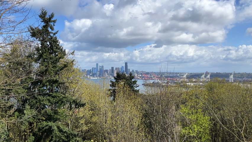 Seattle skyline view from West Seattle. Modern skyscrapers in large city across the bay