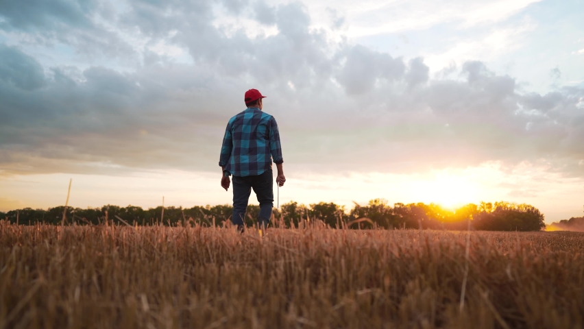 Agriculture. Working farmer walks with tablet across field against background of tractor. A worker on tractor cultivates and fertilizes field. Farmer controls operation of tractor in the wheat field. Royalty-Free Stock Footage #1094106563