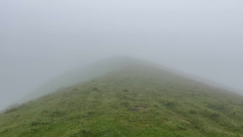 Beautiful Foggy Hill on the way