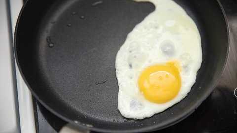 Fried Egg Breakfast Omelette Healthy Food Stock Footage Video (100%